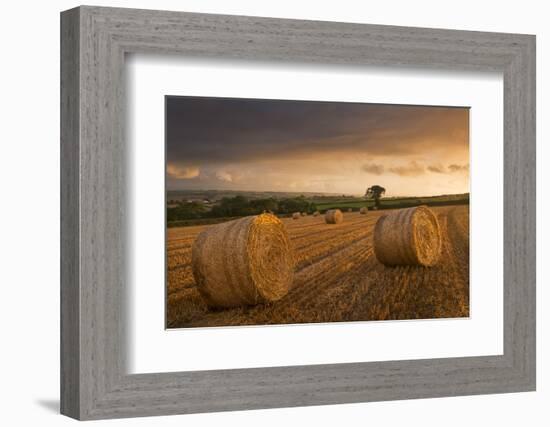 Hay Bales in a Ploughed Field at Sunset, Eastington, Devon, England. Summer (August)-Adam Burton-Framed Photographic Print