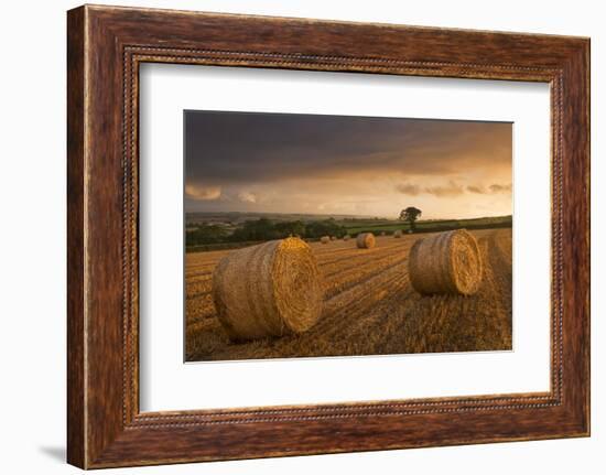 Hay Bales in a Ploughed Field at Sunset, Eastington, Devon, England. Summer (August)-Adam Burton-Framed Photographic Print