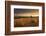 Hay Bales in a Ploughed Field at Sunset, Eastington, Devon, England. Summer (August)-Adam Burton-Framed Photographic Print