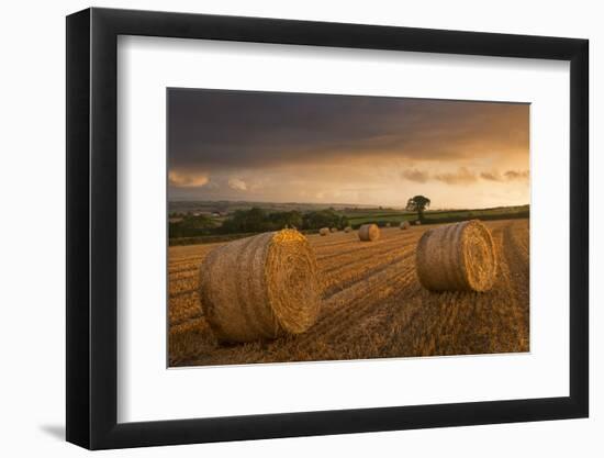 Hay Bales in a Ploughed Field at Sunset, Eastington, Devon, England. Summer (August)-Adam Burton-Framed Photographic Print