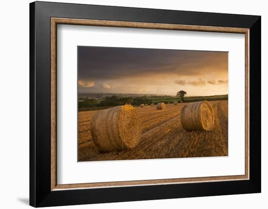 Hay Bales in a Ploughed Field at Sunset, Eastington, Devon, England. Summer (August)-Adam Burton-Framed Photographic Print