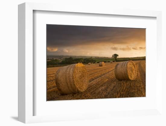 Hay Bales in a Ploughed Field at Sunset, Eastington, Devon, England. Summer (August)-Adam Burton-Framed Photographic Print