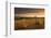 Hay Bales in a Ploughed Field at Sunset, Eastington, Devon, England. Summer (August)-Adam Burton-Framed Photographic Print