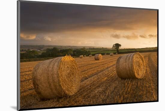 Hay Bales in a Ploughed Field at Sunset, Eastington, Devon, England. Summer (August)-Adam Burton-Mounted Photographic Print