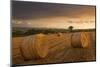 Hay Bales in a Ploughed Field at Sunset, Eastington, Devon, England. Summer (August)-Adam Burton-Mounted Photographic Print
