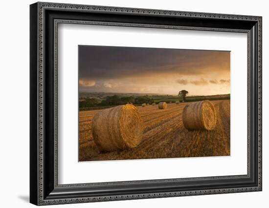 Hay Bales in a Ploughed Field at Sunset, Eastington, Devon, England. Summer (August)-Adam Burton-Framed Photographic Print