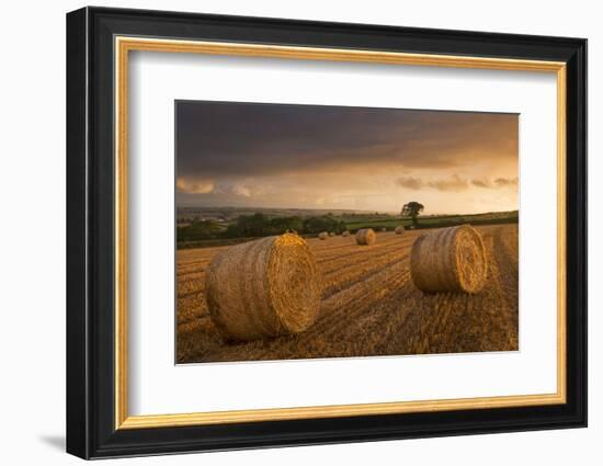 Hay Bales in a Ploughed Field at Sunset, Eastington, Devon, England. Summer (August)-Adam Burton-Framed Photographic Print