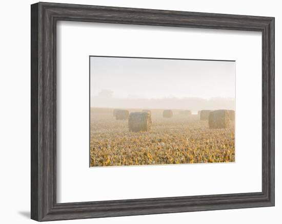 Hay bales in field on foggy morning, Marion County, Illinois-Richard & Susan Day-Framed Photographic Print