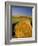 Hay Bales in Field, Palouse, Washington, USA-Terry Eggers-Framed Photographic Print