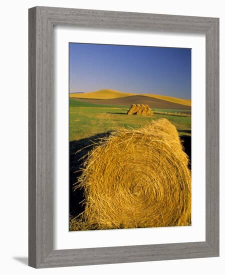 Hay Bales in Field, Palouse, Washington, USA-Terry Eggers-Framed Photographic Print