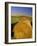 Hay Bales in Field, Palouse, Washington, USA-Terry Eggers-Framed Photographic Print