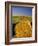 Hay Bales in Field, Palouse, Washington, USA-Terry Eggers-Framed Photographic Print