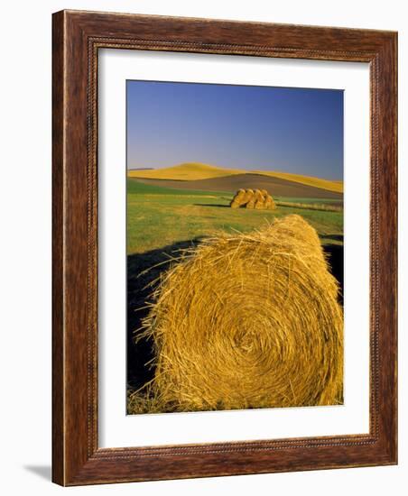 Hay Bales in Field, Palouse, Washington, USA-Terry Eggers-Framed Photographic Print