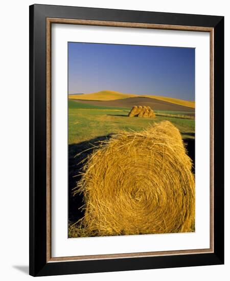 Hay Bales in Field, Palouse, Washington, USA-Terry Eggers-Framed Photographic Print