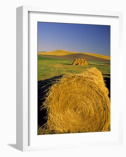 Hay Bales in Field, Palouse, Washington, USA-Terry Eggers-Framed Photographic Print