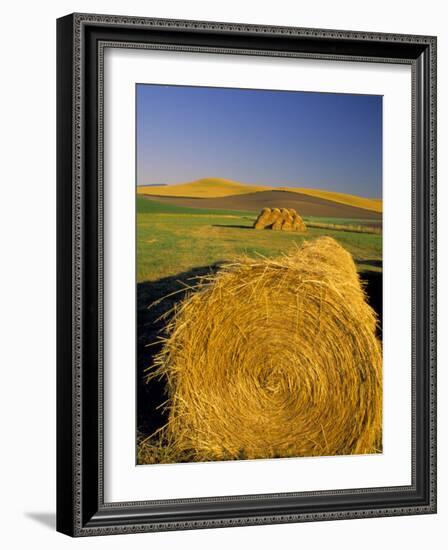 Hay Bales in Field, Palouse, Washington, USA-Terry Eggers-Framed Photographic Print