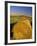 Hay Bales in Field, Palouse, Washington, USA-Terry Eggers-Framed Photographic Print