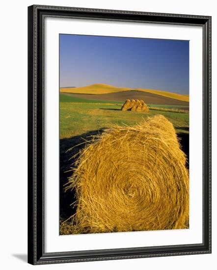 Hay Bales in Field, Palouse, Washington, USA-Terry Eggers-Framed Photographic Print