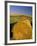 Hay Bales in Field, Palouse, Washington, USA-Terry Eggers-Framed Photographic Print