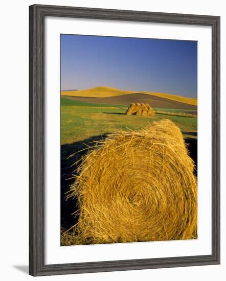 Hay Bales in Field, Palouse, Washington, USA-Terry Eggers-Framed Photographic Print