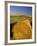 Hay Bales in Field, Palouse, Washington, USA-Terry Eggers-Framed Photographic Print