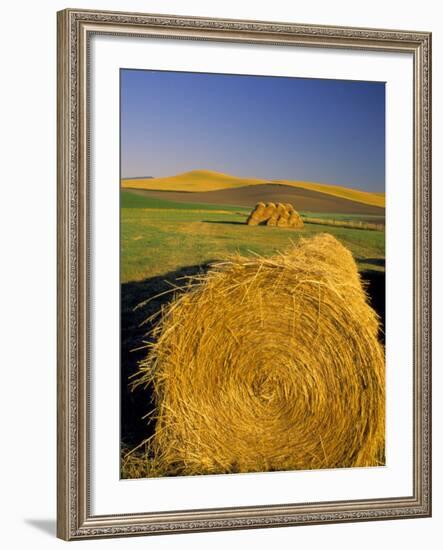 Hay Bales in Field, Palouse, Washington, USA-Terry Eggers-Framed Photographic Print