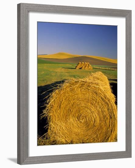 Hay Bales in Field, Palouse, Washington, USA-Terry Eggers-Framed Photographic Print