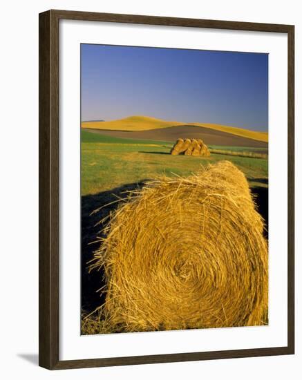 Hay Bales in Field, Palouse, Washington, USA-Terry Eggers-Framed Photographic Print