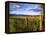 Hay Bales in Field, Whitefish, Montana, USA-Chuck Haney-Framed Premier Image Canvas