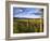 Hay Bales in Field, Whitefish, Montana, USA-Chuck Haney-Framed Photographic Print