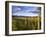 Hay Bales in Field, Whitefish, Montana, USA-Chuck Haney-Framed Photographic Print