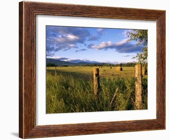 Hay Bales in Field, Whitefish, Montana, USA-Chuck Haney-Framed Photographic Print