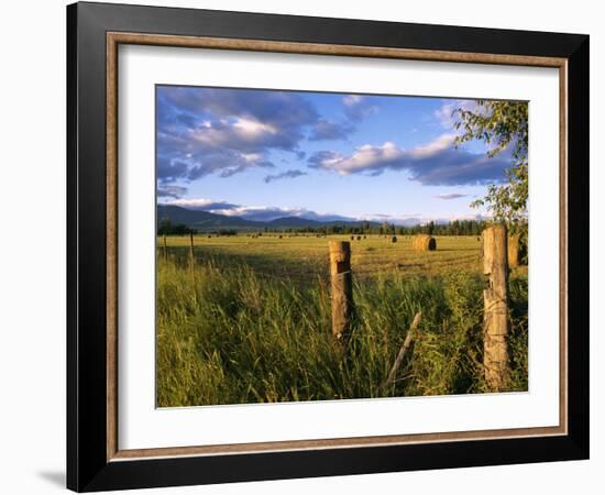 Hay Bales in Field, Whitefish, Montana, USA-Chuck Haney-Framed Photographic Print