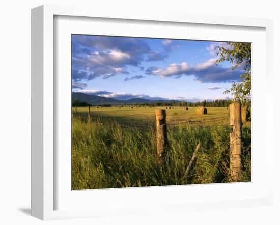 Hay Bales in Field, Whitefish, Montana, USA-Chuck Haney-Framed Photographic Print