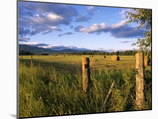 Hay Bales in Field, Whitefish, Montana, USA-Chuck Haney-Mounted Photographic Print