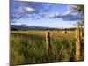 Hay Bales in Field, Whitefish, Montana, USA-Chuck Haney-Mounted Photographic Print