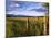 Hay Bales in Field, Whitefish, Montana, USA-Chuck Haney-Mounted Photographic Print