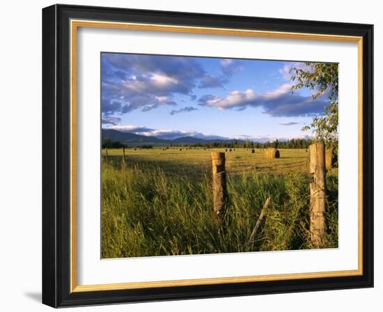 Hay Bales in Field, Whitefish, Montana, USA-Chuck Haney-Framed Photographic Print