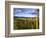 Hay Bales in Field, Whitefish, Montana, USA-Chuck Haney-Framed Photographic Print