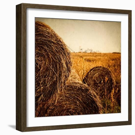 Hay Bales in the Countryside with Industry in the Background-Luis Beltran-Framed Photographic Print