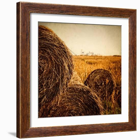 Hay Bales in the Countryside with Industry in the Background-Luis Beltran-Framed Photographic Print