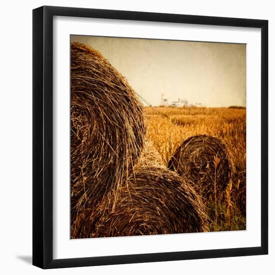 Hay Bales in the Countryside with Industry in the Background-Luis Beltran-Framed Photographic Print