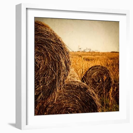 Hay Bales in the Countryside with Industry in the Background-Luis Beltran-Framed Photographic Print