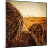 Hay Bales in the Countryside with Industry in the Background-Luis Beltran-Mounted Photographic Print