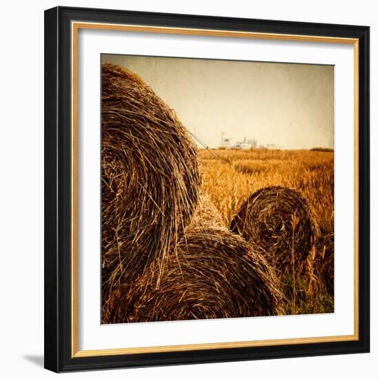 Hay Bales in the Countryside with Industry in the Background-Luis Beltran-Framed Photographic Print