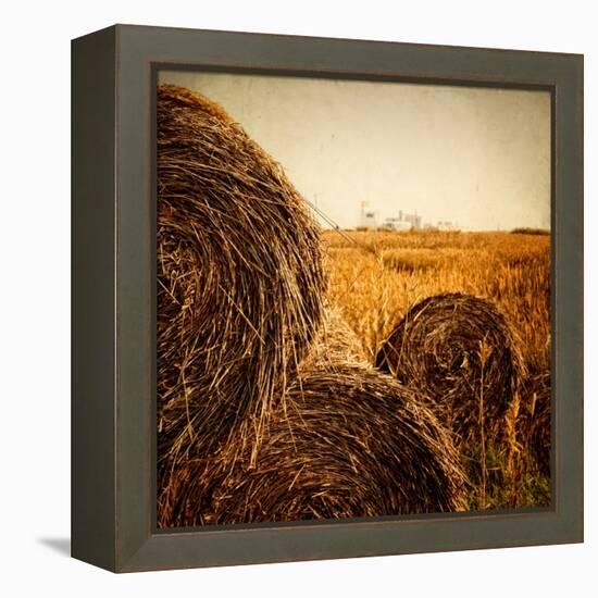 Hay Bales in the Countryside with Industry in the Background-Luis Beltran-Framed Premier Image Canvas