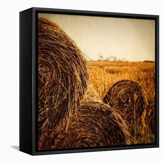 Hay Bales in the Countryside with Industry in the Background-Luis Beltran-Framed Premier Image Canvas