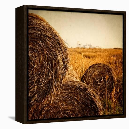 Hay Bales in the Countryside with Industry in the Background-Luis Beltran-Framed Premier Image Canvas