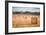 Hay bales in the Cuddesdon countryside, Oxfordshire, England, United Kingdom, Europe-John Alexander-Framed Photographic Print