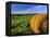 Hay Bales near Bottineau, North Dakota, USA-Chuck Haney-Framed Premier Image Canvas